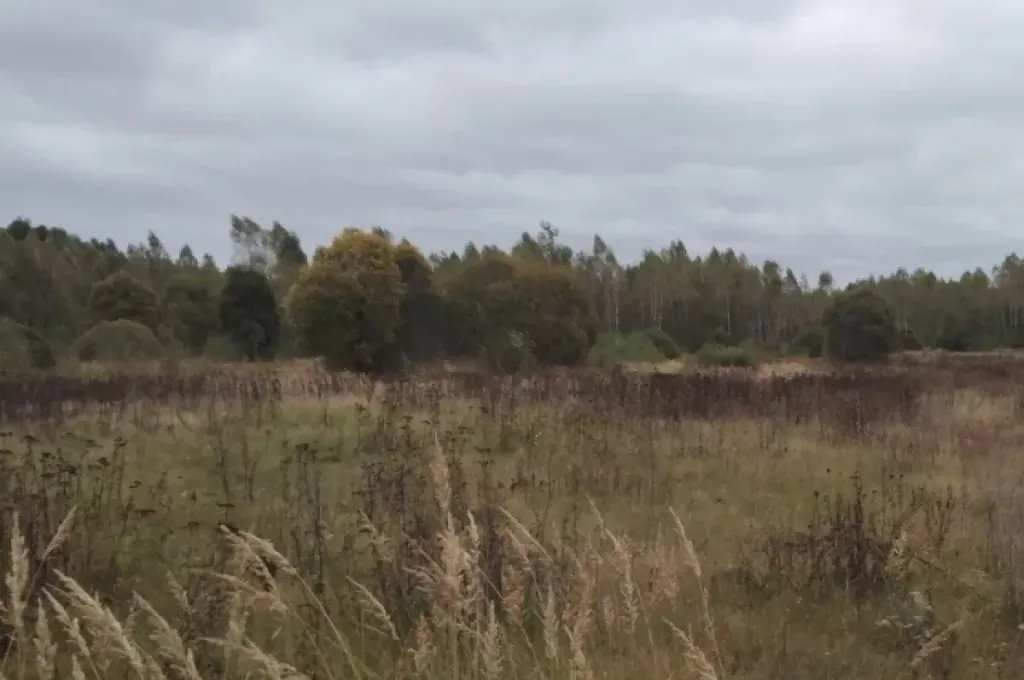 Россельхознадзор вернул в оборот 3,5 тыс. гектаров калужских земель