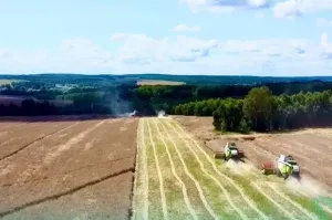 Россельхознадзор выявил нарушения при продаже 77 партий семян