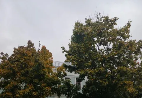 ПВО сбила два беспилотника над Жиздринским и Людиновским районами