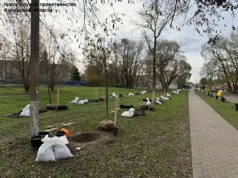 В Малоярославце высадили аллею из 45 лип