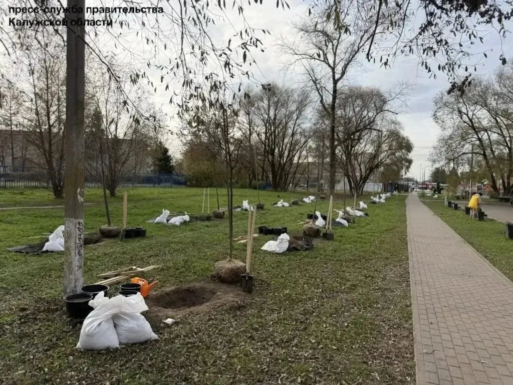 В Малоярославце высадили аллею из 45 лип